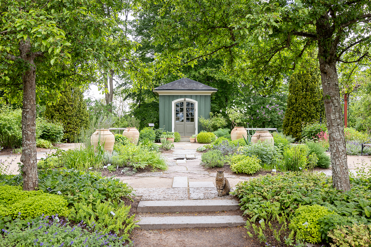 Fira Hanami i Röhsskas lusthus!