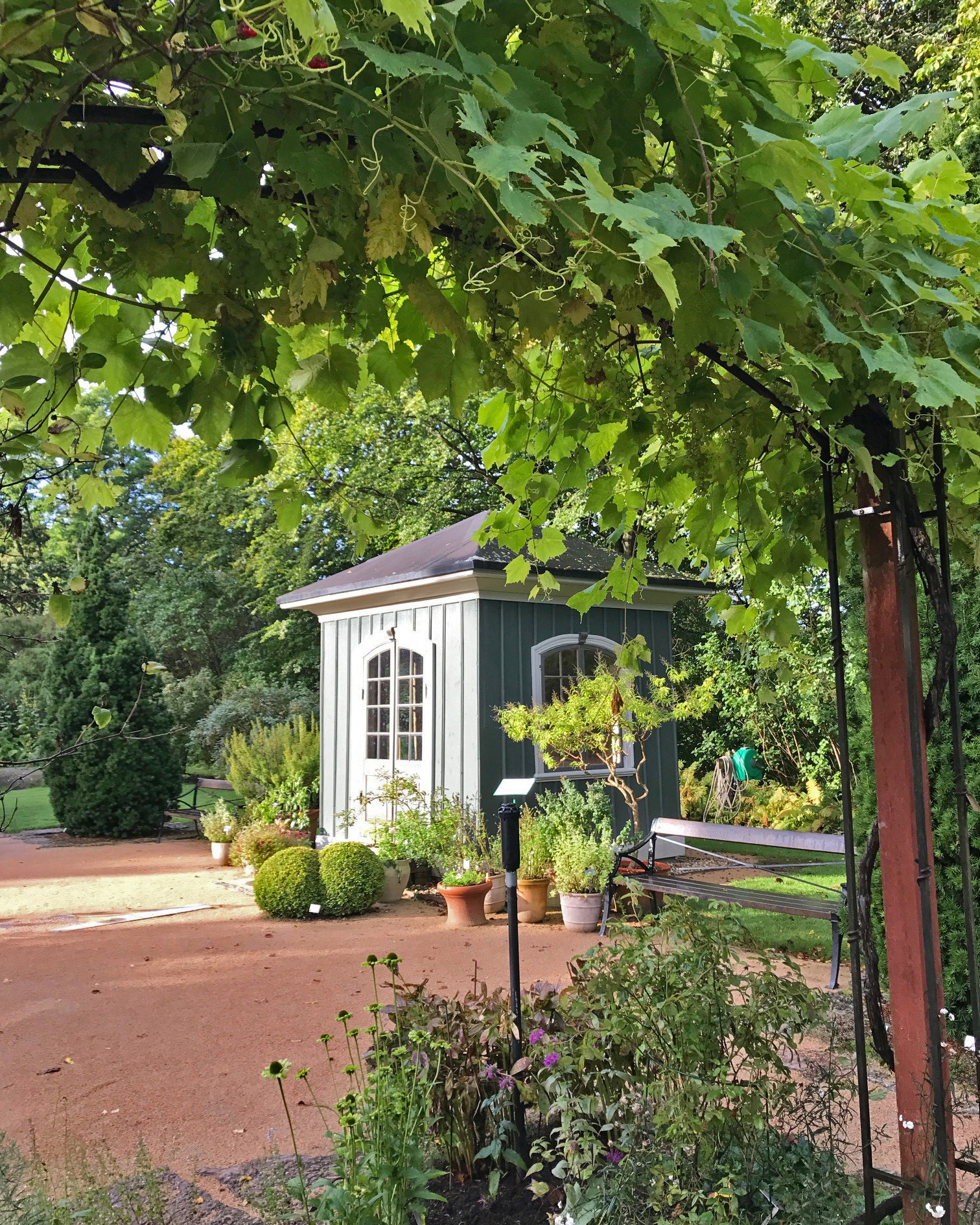 Örtagårdens dag i Röhsskas lusthus