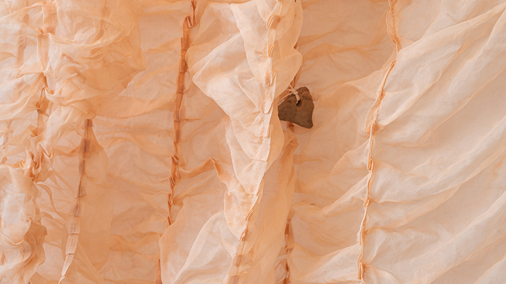 Vernissage: Morus