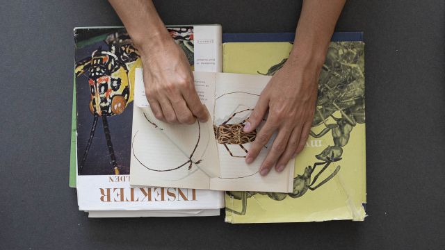 Artists’ books